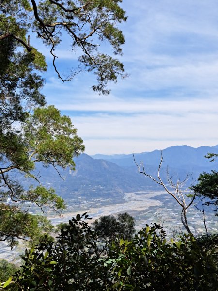 竹山八通關古道社寮段+陳東坑山+溪洲大山ｄ型走202302192037453