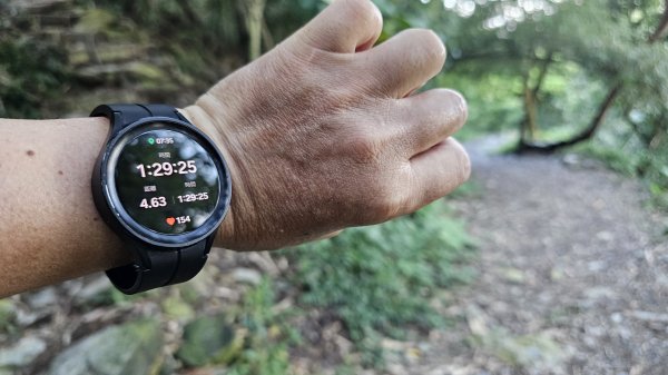 【12訪尾寮山-魔王小百岳】哥走的不是山，走的是平靜與滿足。2900566