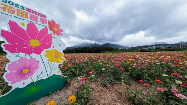 關渡花海,大龍峒孔廟,保安宮,迪化街2345356