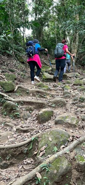 馬那邦山（珠湖登山口）2933985