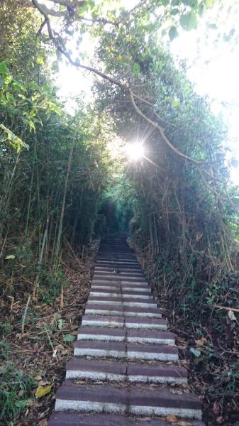 后里鳳凰山+觀音山步道363045