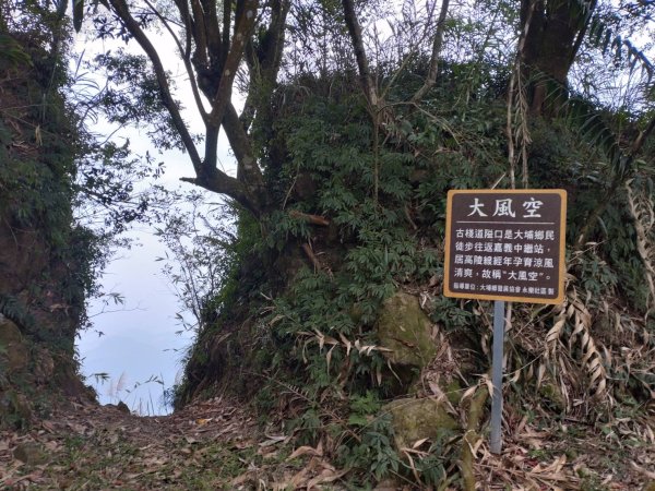 嘉義大埔永樂村「大岩壁」2411670