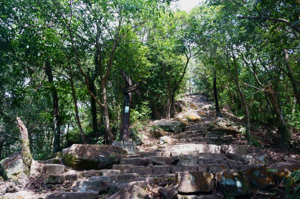 台北 金面山親山步道2063074