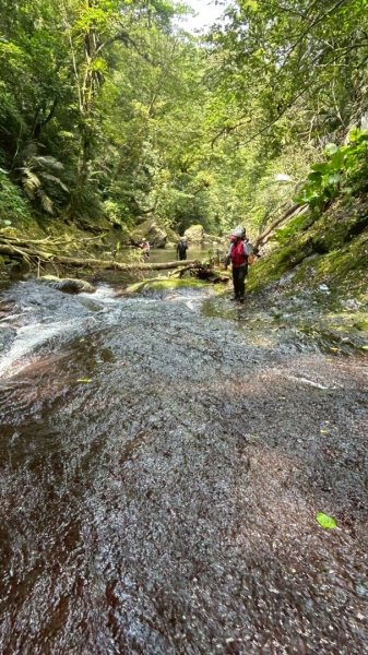 坪林-碧湖溪-蛋糕瀑布群（溯溪）2820924