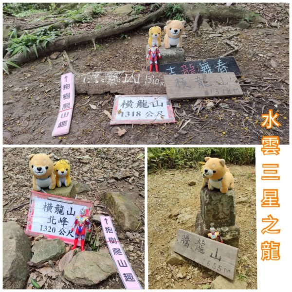 2025/6/14 橫龍山2839228