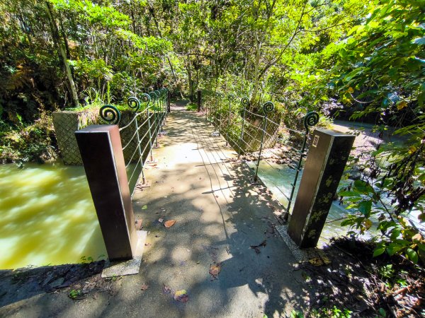 2024-08-22 澀水森林步道2578406