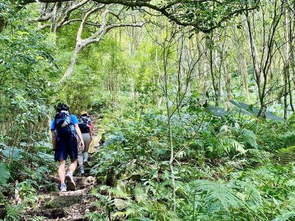 《中正山 × 紗帽山｜穿越北投古道與山林的一日縱走！》2934990
