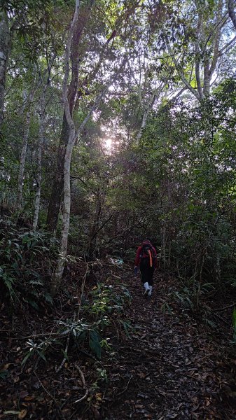 秀巒登虎禮山2582439