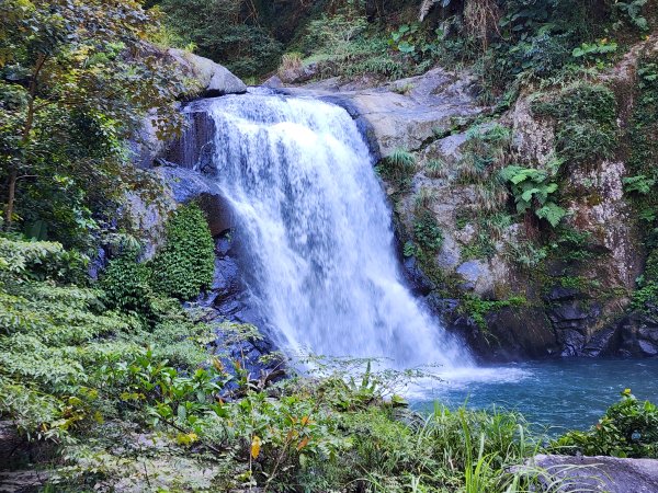 新北烏來｜內洞國家森林遊樂區步道群2904745