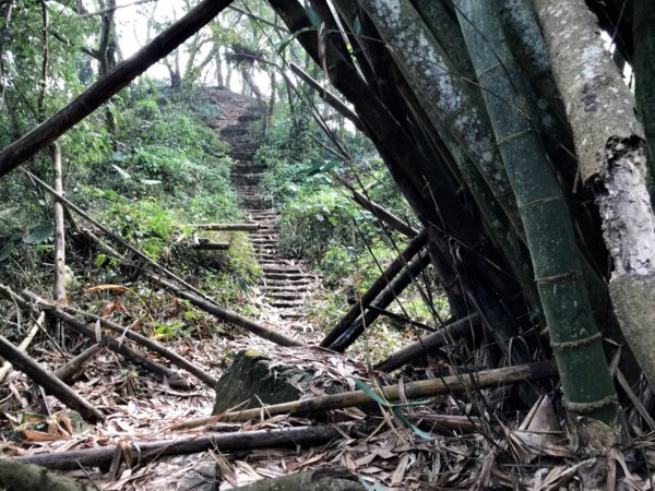 烏山步道走刣牛湖山468611