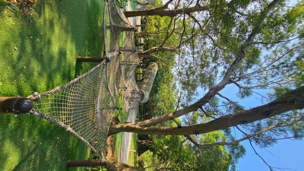 【誰是本尊？誰又是分身？】解鎖第53座小百岳#038鐵砧山2903847