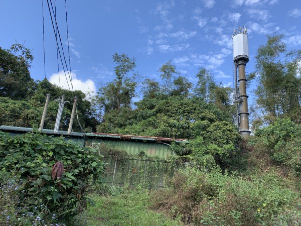 20250315屏東頭崙山-頭崙山西北峰2737219