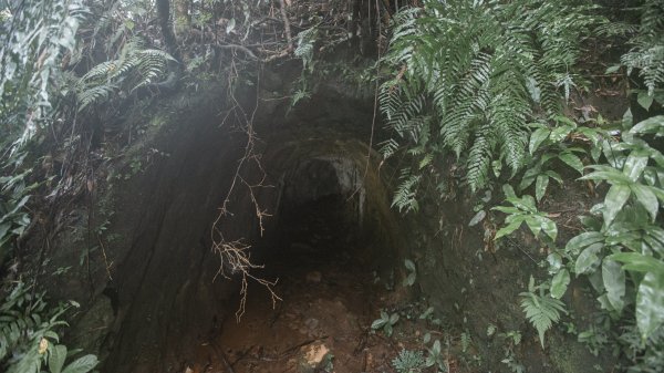 傳說中的「魔神仔洞」| 菁桐古道（汐止段＆平溪段）2721256