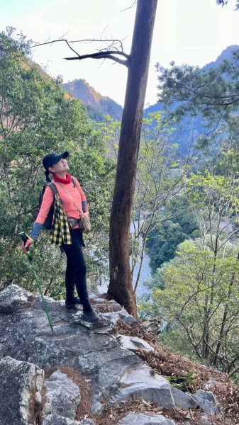 【谷關七雄】波津加(H1771.6m)肉腳配速成功2670577