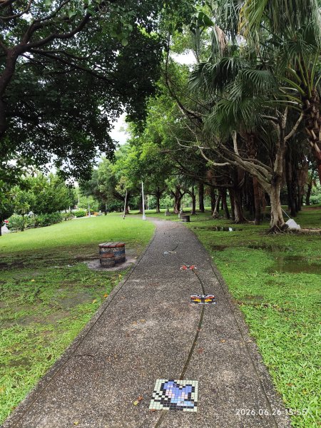內湖瑞光公園3083333