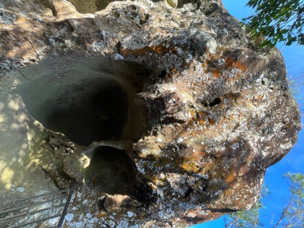 20230916_五寮尖2762643