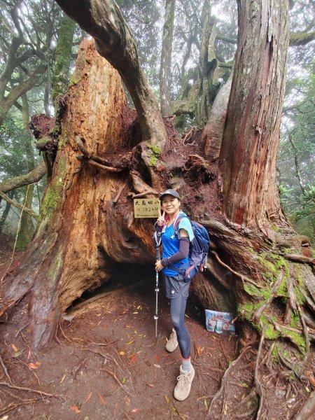 【簡單、輕鬆、舒適、糜爛】高島縱走P繞1125943