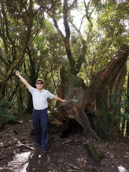 拉拉山巨木步道-塔曼山步道_202407022569698