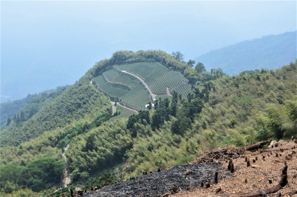 後棟仔山 & 雲嘉大尖山1378294