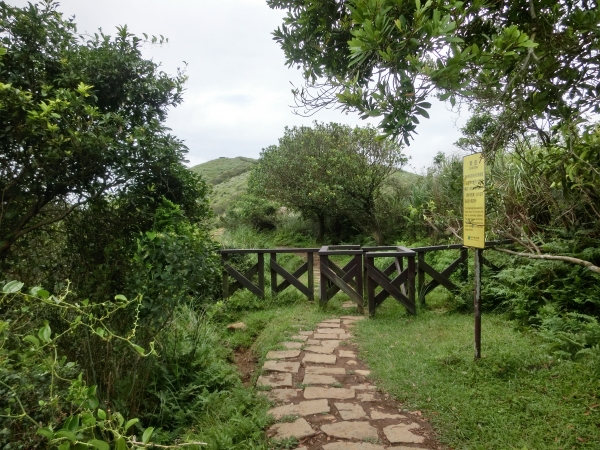 魚路古道．擎天崗．竹篙山94437