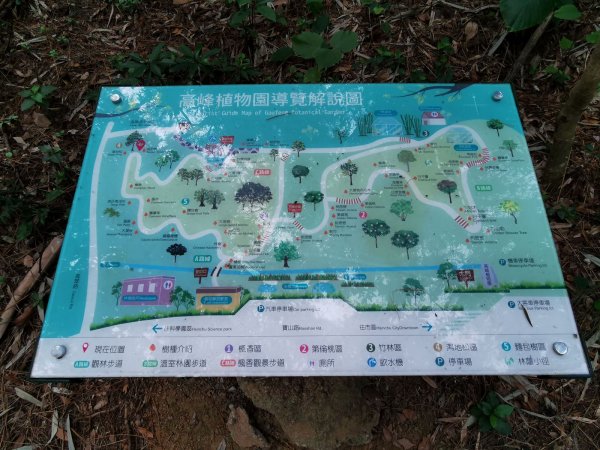 六寮古道→高峰植物園→鳳崎落日→石門水庫楓林→東眼山→鳶山→五酒桶山→台大椰林→富陽公園→象山步道1667367