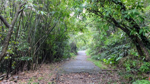 貂山古道,琉榔路觀光步道2590542