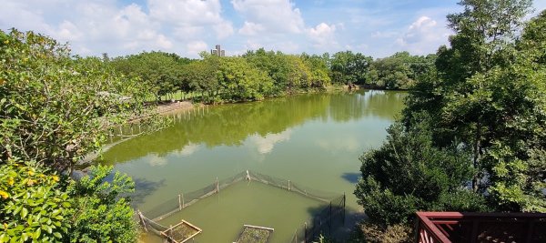 八德埤塘生態公園2890768