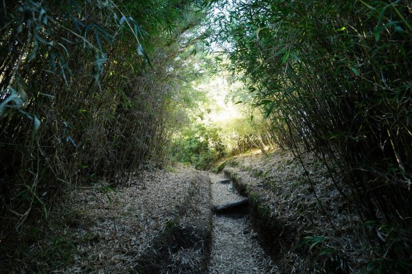 花蓮 秀林 奇萊北峰2338174