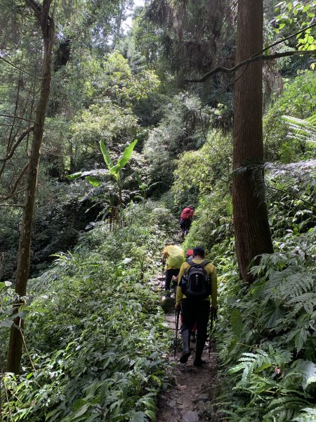 20250614南投南鳳凰山2813260