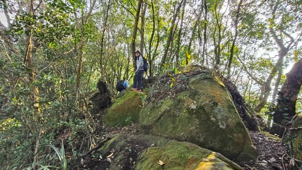 雙石大O繞縱走1150222 年初六3004537