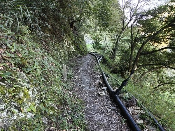 [玉山尋寶任務-07/12] 2025_0824 八通關雲龍瀑布步道2870533