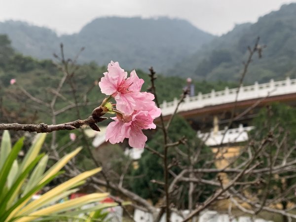 20231125台中谷關七雄東卯山2365244