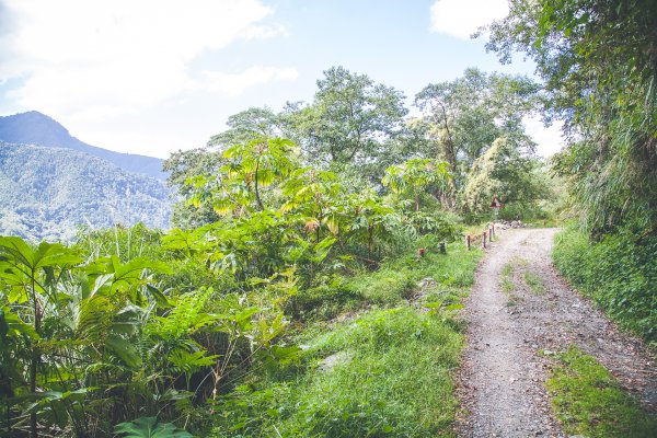 20191004~06-[新竹] 500塊上的大霸尖山1817045