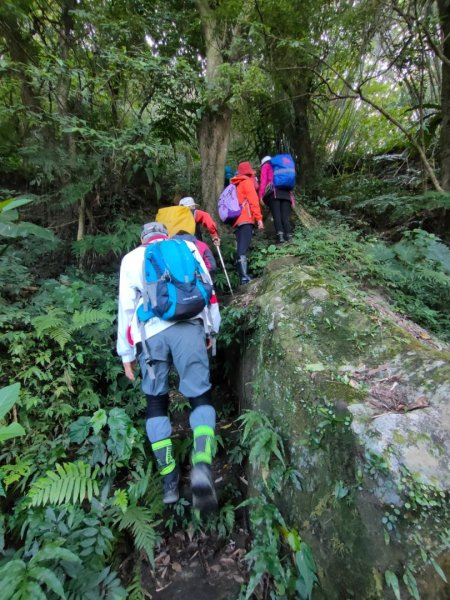 ［象山~深坑8連峰］  （象山～南港山南峰～拇指山～倒照湖山～大坑山～西峰~三腳木山~西峰）2403158