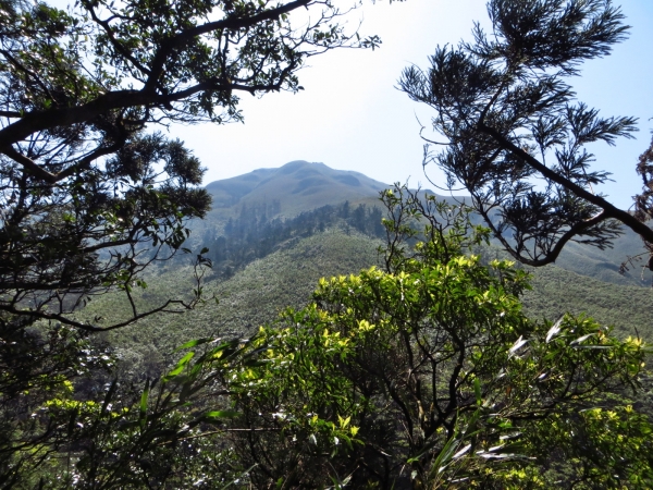 小觀音山-大屯溪古道縱走33258