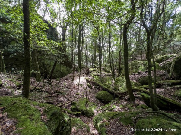 加里山好精彩2547377