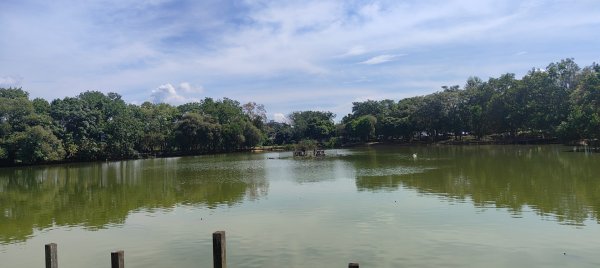 八德埤塘生態公園2890765