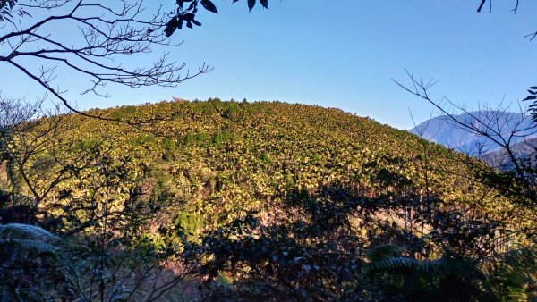 埔里六秀-橫屏山1239247