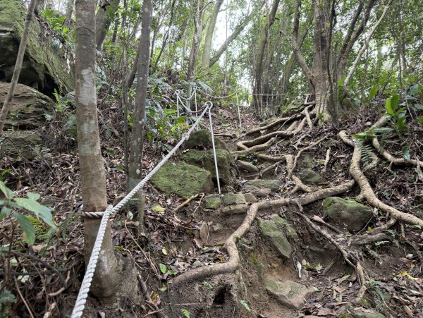 [微笑山線_第四段] 2026_0321 天上山系_石門內尖山3022069