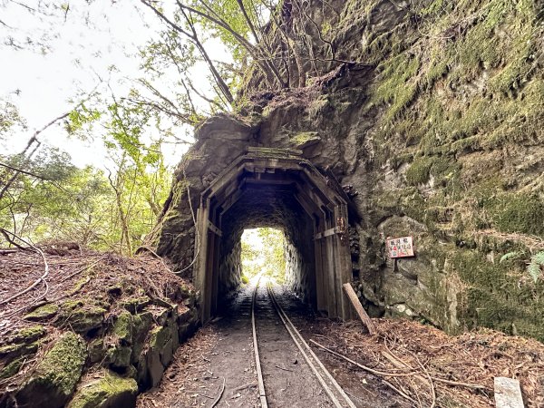 眠月線健行2992991