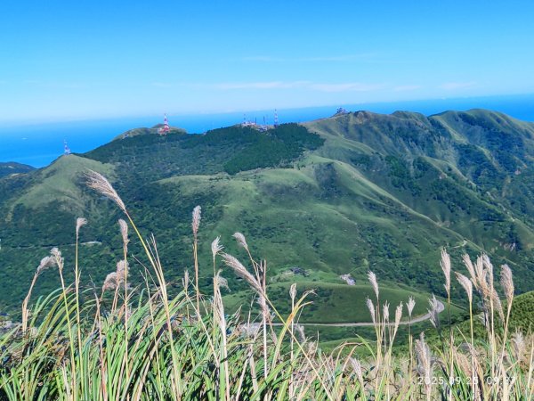 七星山二進2894961