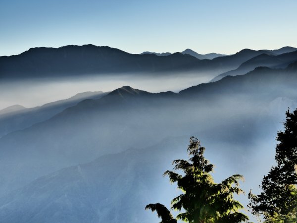 20190207小笠原日出+水山巨木522703