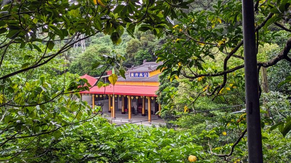 南港四分溪,三重埔埤濕地復育,大坑溪2502961