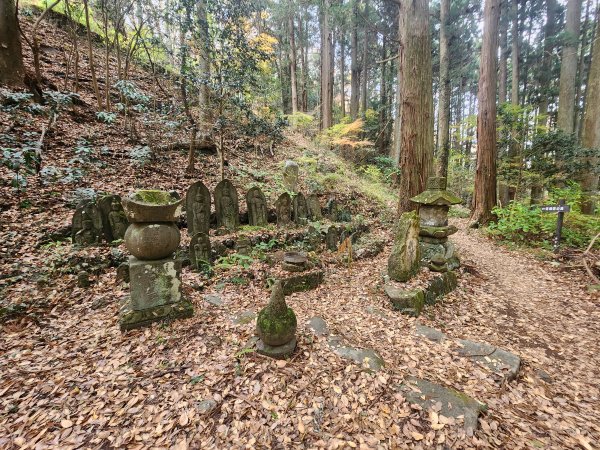 20251125登月居山遊袋田瀑布順遊舊上岡小學校2958377