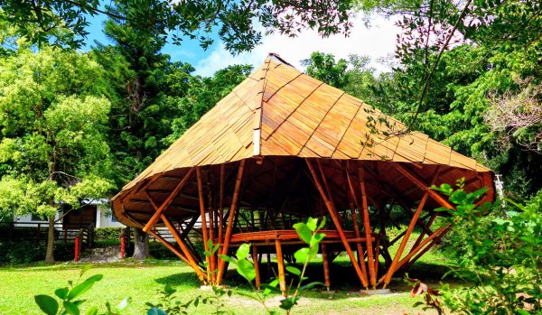 知本森林遊樂區3015069