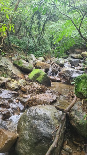 2025-01232淡蘭古道北二段(燦光寮古道到澳底)2696592