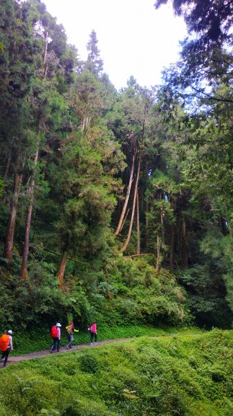 山林美境尋寶石特富野古道202009031090785