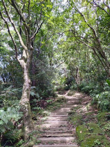 鵝角格山、銀河洞越嶺道2249543