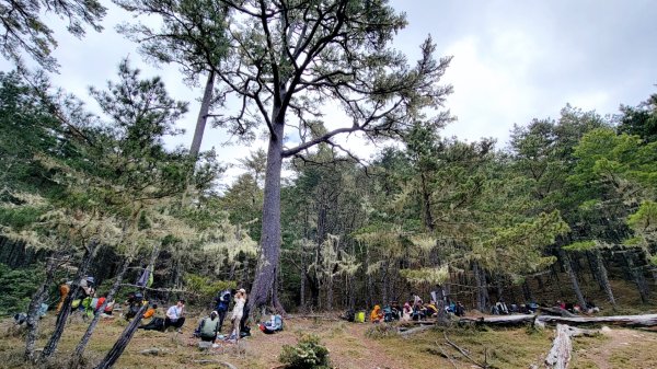 戒茂斯上嘉明湖-20250502-202505042859958