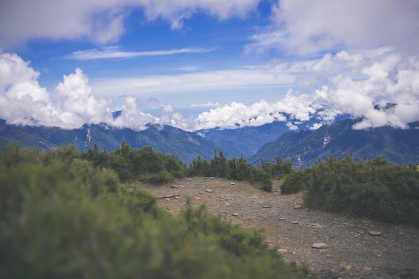 20230721-[南投] 合歡北峰步道2534508